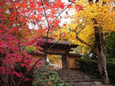 山門の紅葉